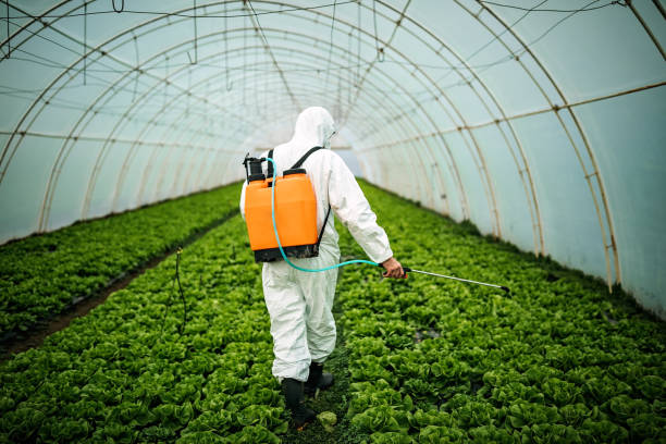 Best Affordable Pest Control Services  in Geneva, OH