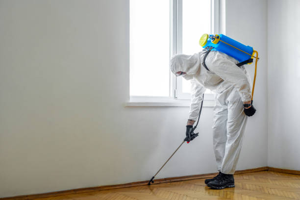 Best Ant Control Services  in Geneva, OH