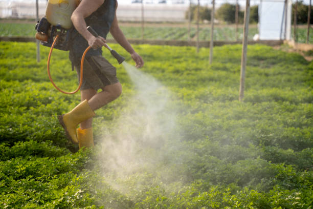 Professional Pest Control in Geneva, OH