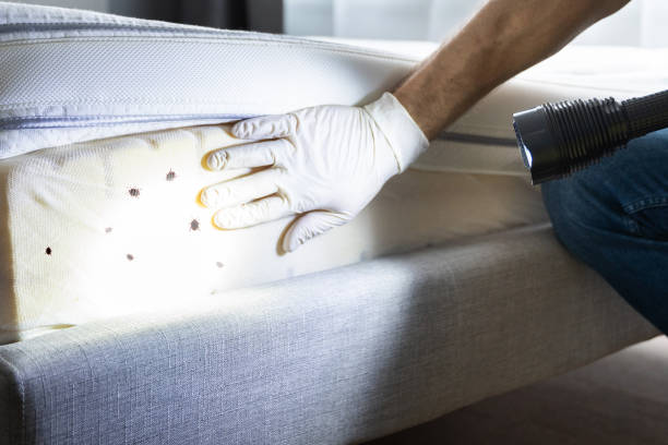 Best Pest Control for Restaurants  in Geneva, OH