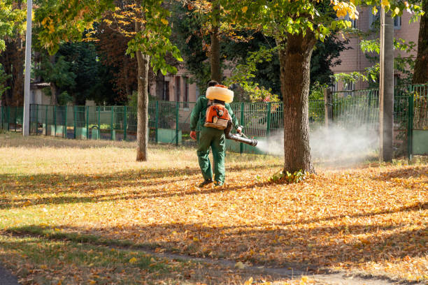 Best Flea Control Services  in Geneva, OH