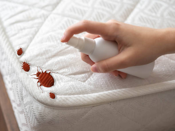 Best Bed Bug Extermination  in Geneva, OH