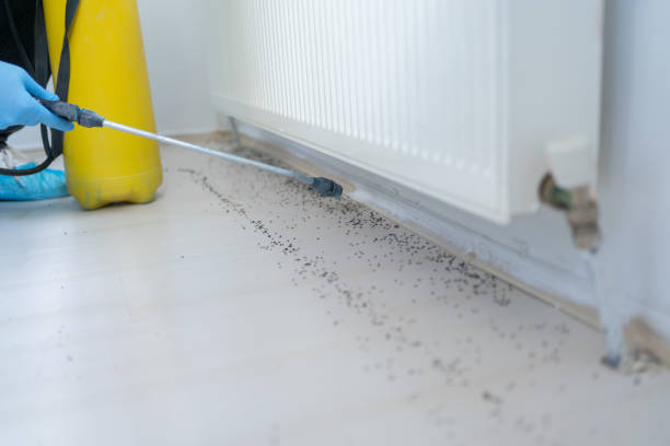 Best Pest Prevention Services  in Geneva, OH