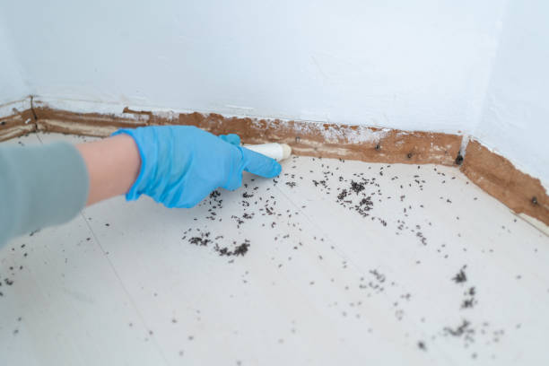 Trusted Geneva, OH Pest Control Experts