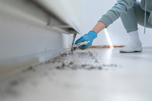 Best Wasp Removal Services  in Geneva, OH